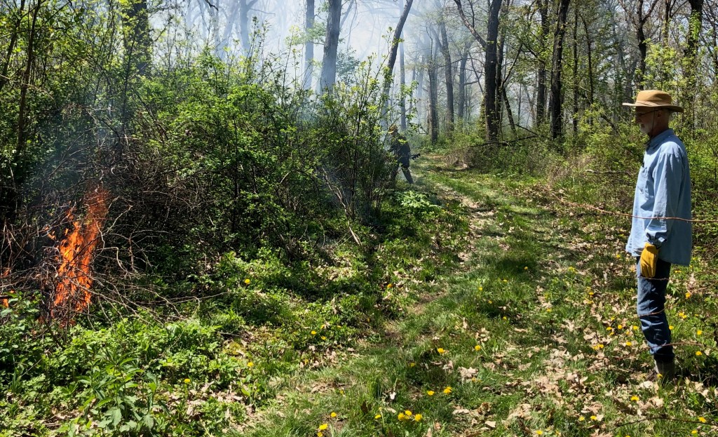 Slow Burn at&nbsp;Tippesaukee